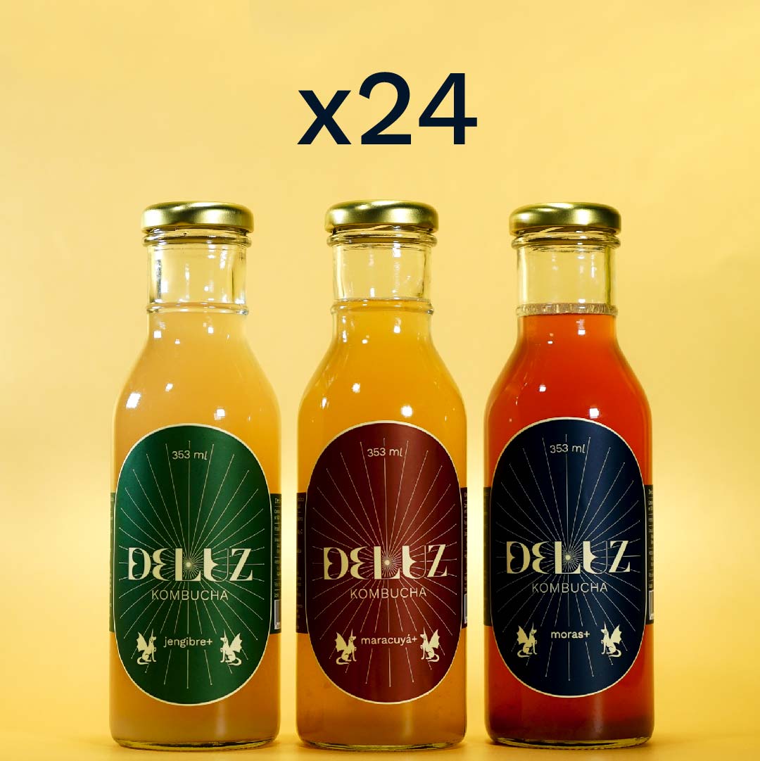 24 Pack DELUZ33